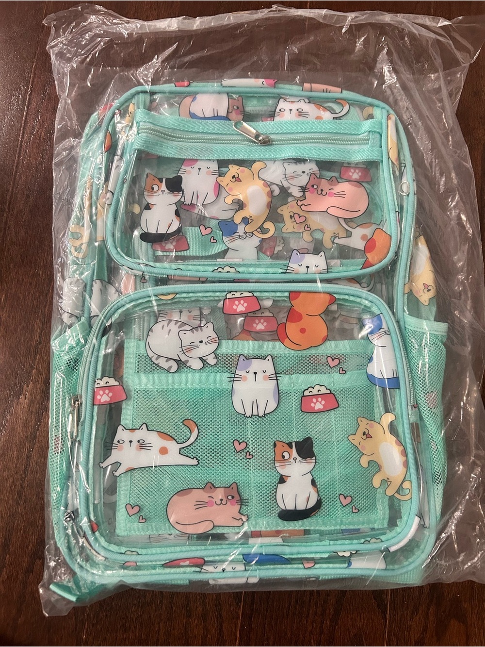 Kids Mint Cat-Print Clear Front Backpack
